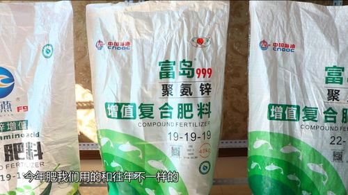 拔出來的增值豐收 從一片沃土看中國化學的創新力量